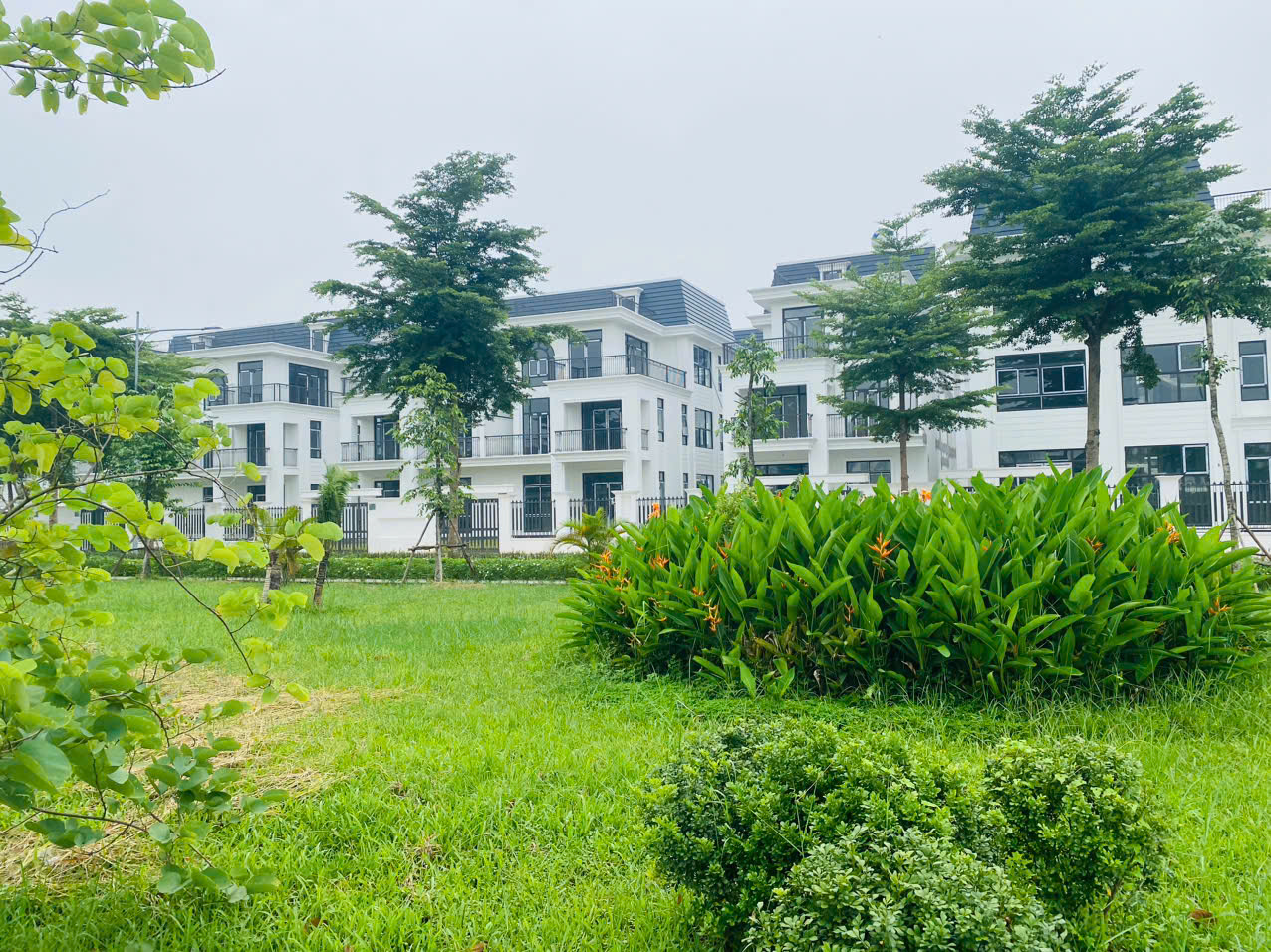 z6809620640869_ccd00194fcd32e6177593123beed28e8