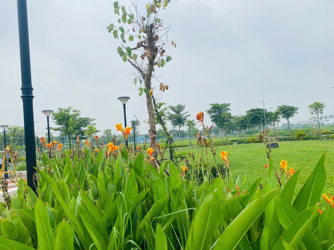 z6809620648066_b806a8ac5c810656e1ffea7c83b2369a