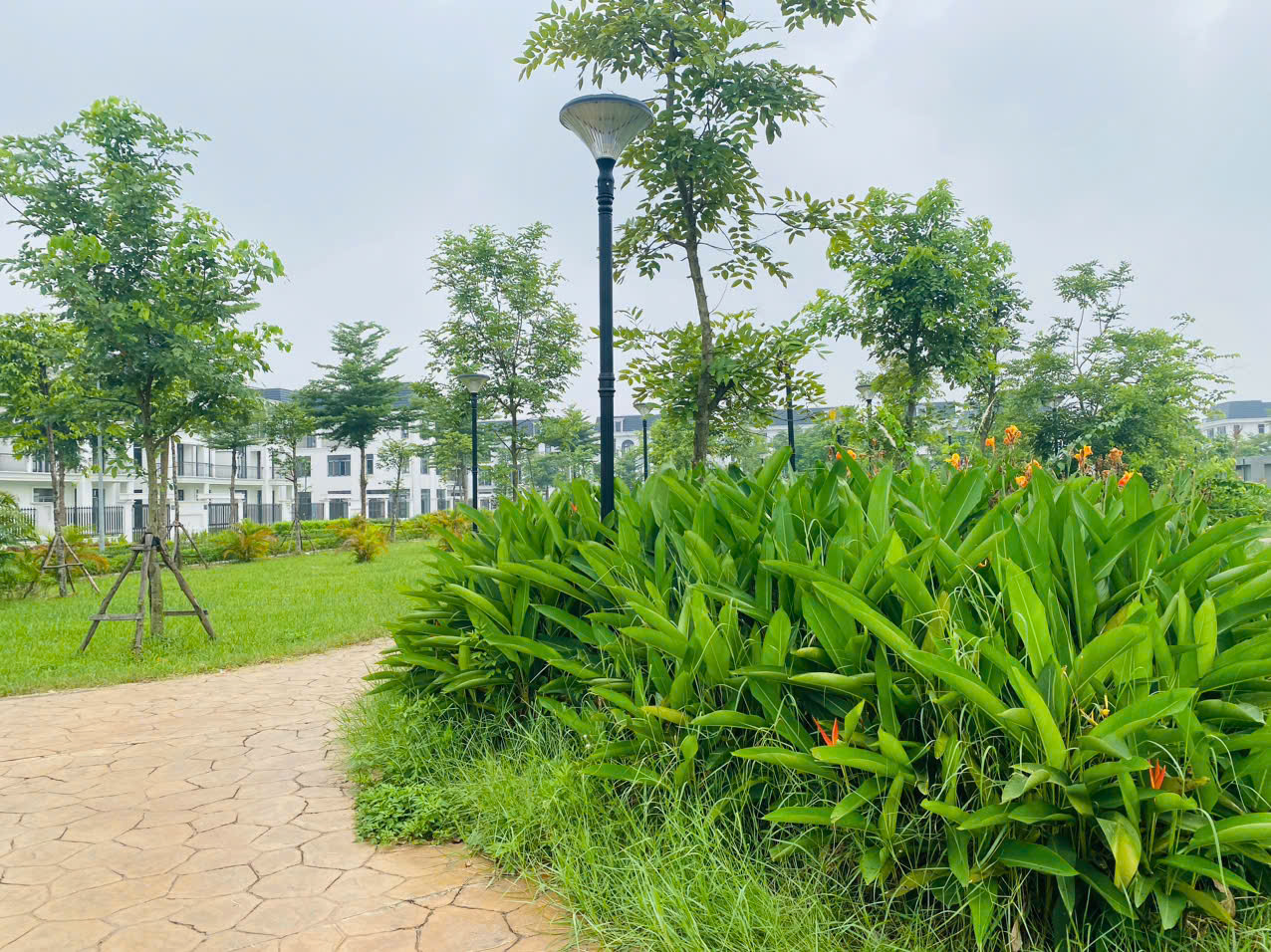 z6809620655480_bde8a831f74f5613a2317c006ec1a611