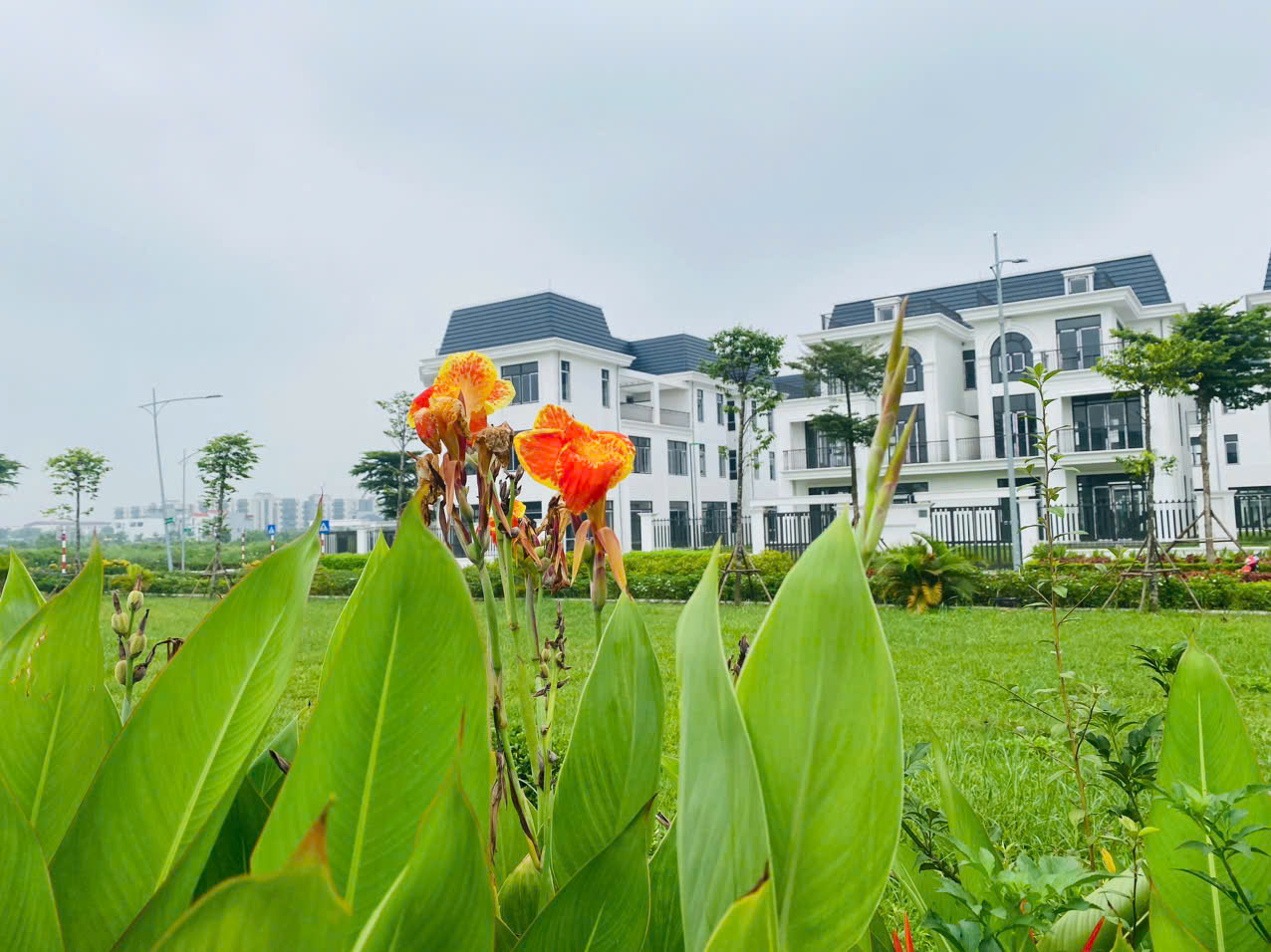 z6809620658472_f699e81d704dfb3bda92b531ee5ccd21