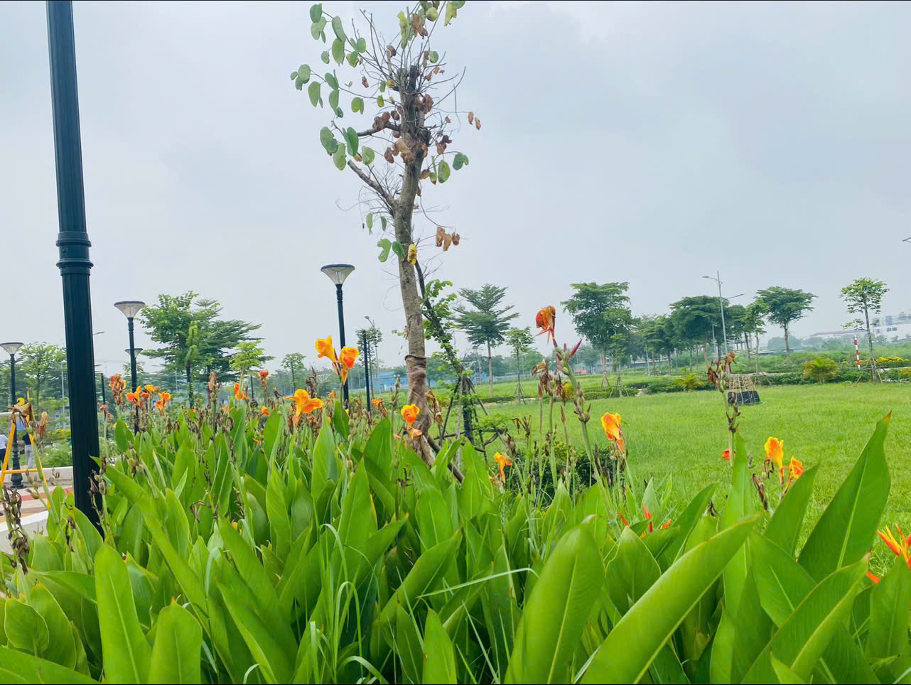 z6816159824707_4b348c9629bde614db1157c8c16598f9