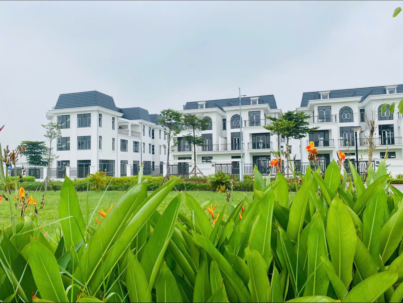 z6816159847633_0baf51f0074a9b5355e5a34576a28352