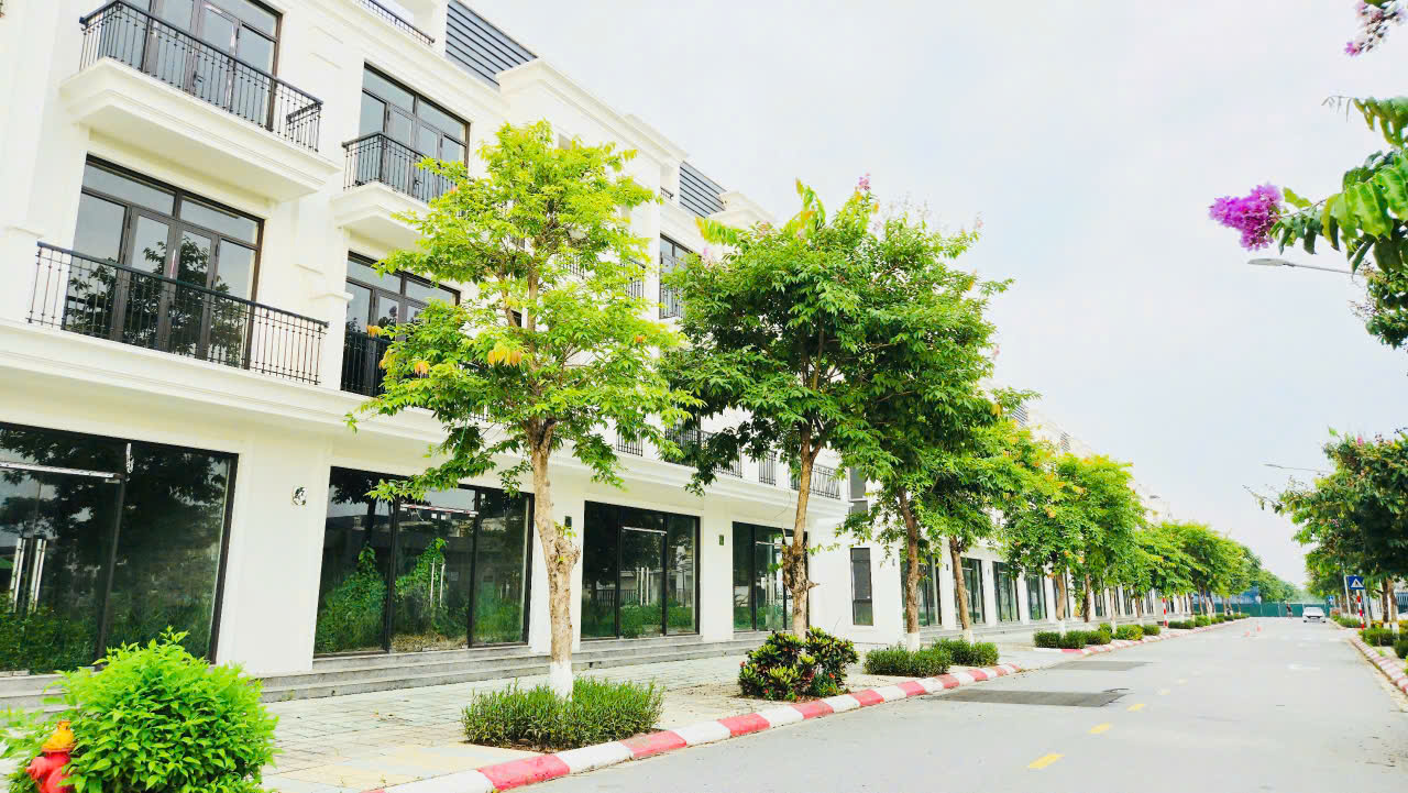 z6816206519640_e1907f532bfe13ec1be6cc9ba29629c6