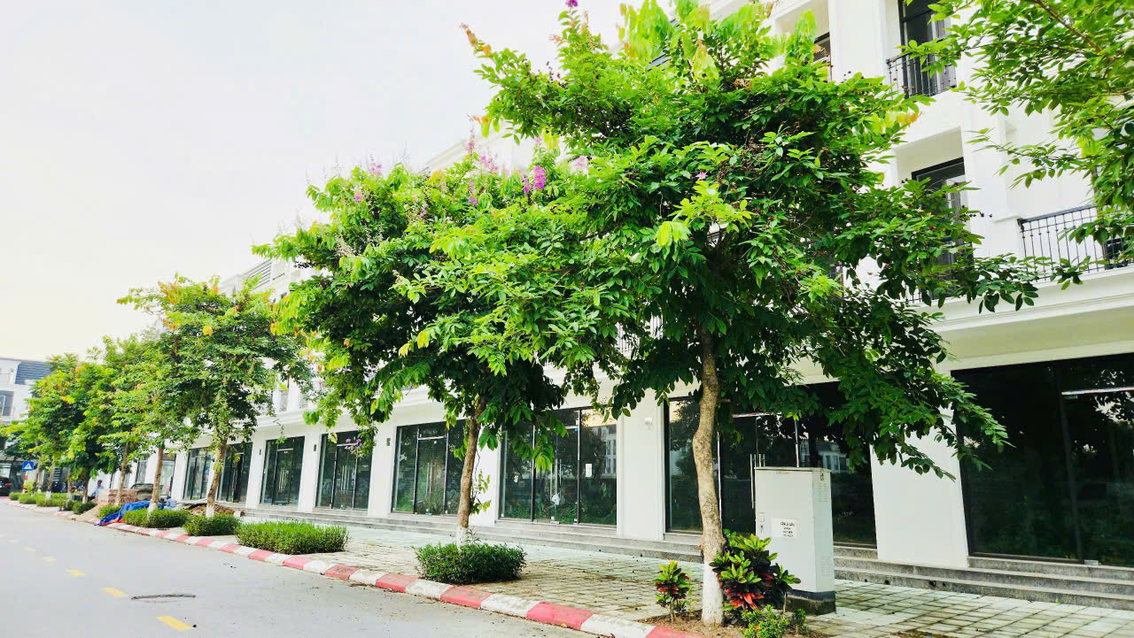 z6816206524061_1d8362f8afa19ba0075f5fe34e320914