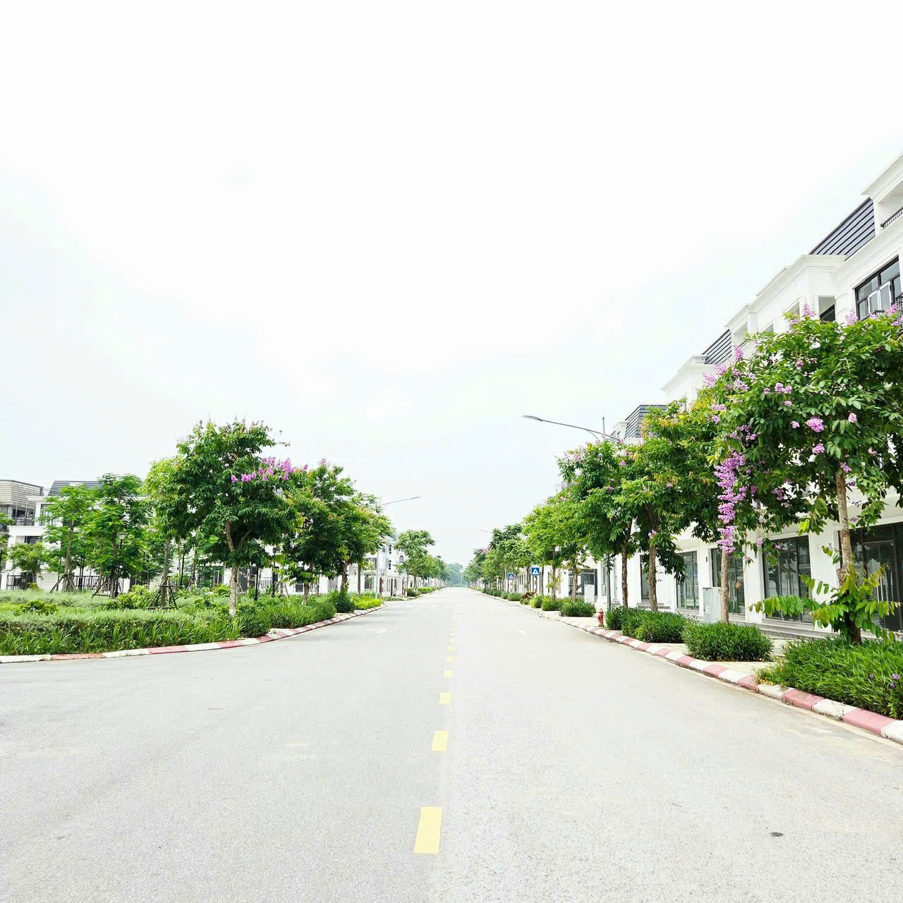 z6816206584241_765e464d65db41e6e0f1f7142ab35fc5