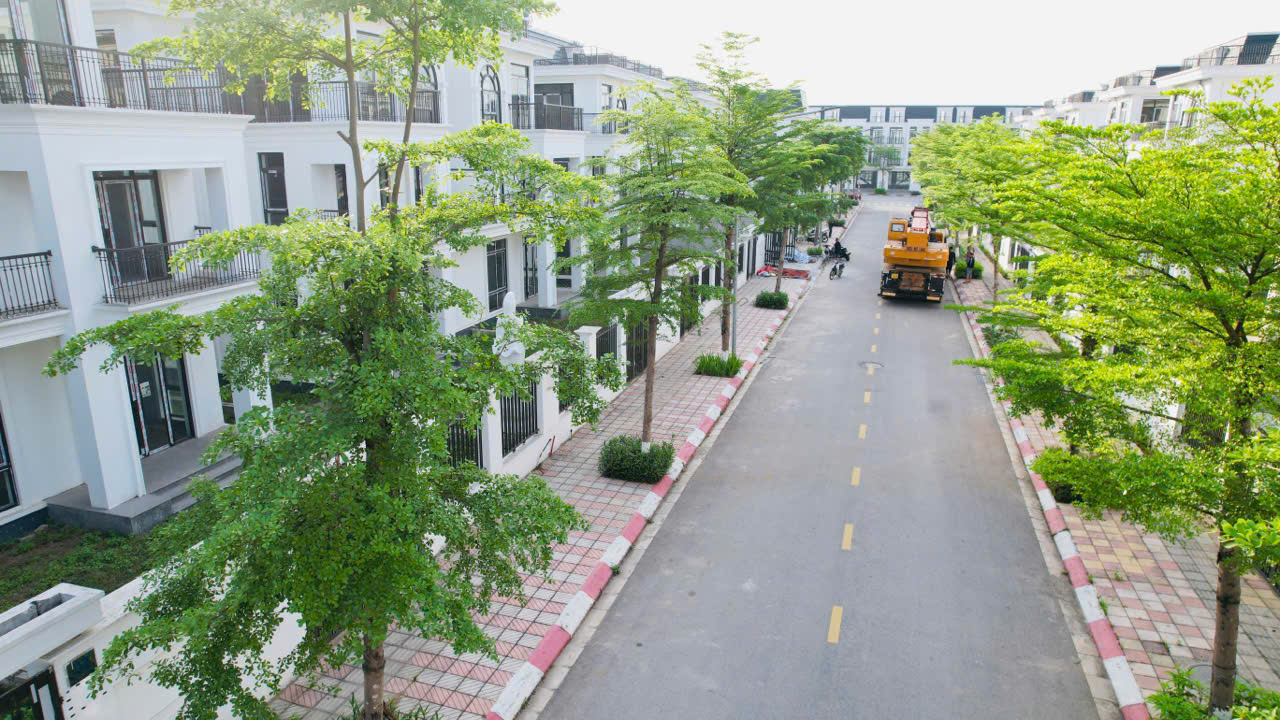 z6876037704150_f1f03fa1b628e62b99742b35810ca15c